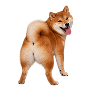 040