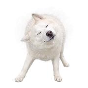 026