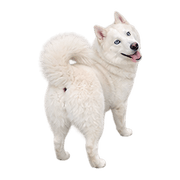 031