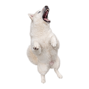 039