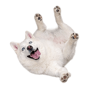 040