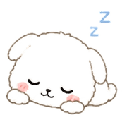 003