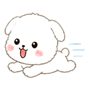 008