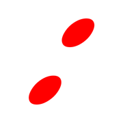 244