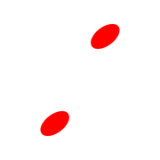244