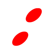 244