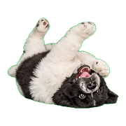 034