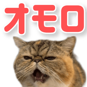 006