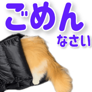 008