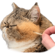 031