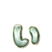 048