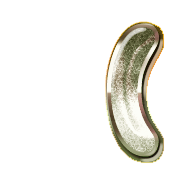 234