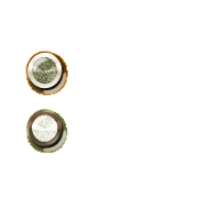 244
