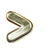 249