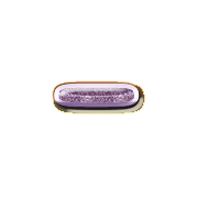 251