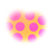 017