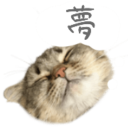 015
