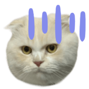 016