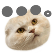 025