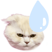 027