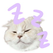 028