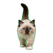 038