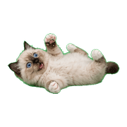 040