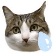 007