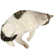 012