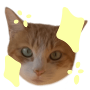 021
