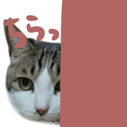 024