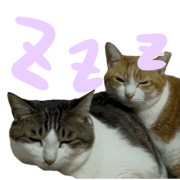 030
