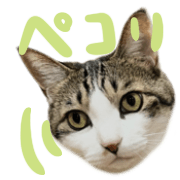 031