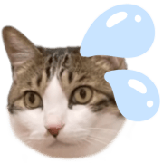 034