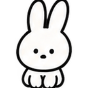 019