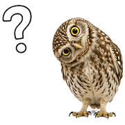 037
