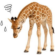 031