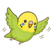 005