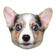 003