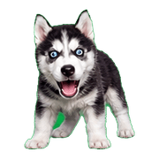 040