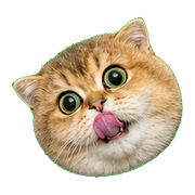 002