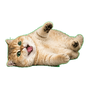 040