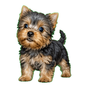 036
