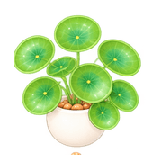 003