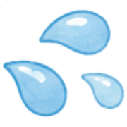 009