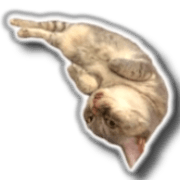 007