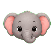 019