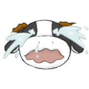 004