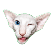 002