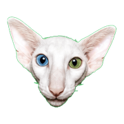 003
